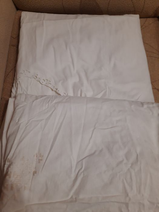 Подолеяльник  полуторный