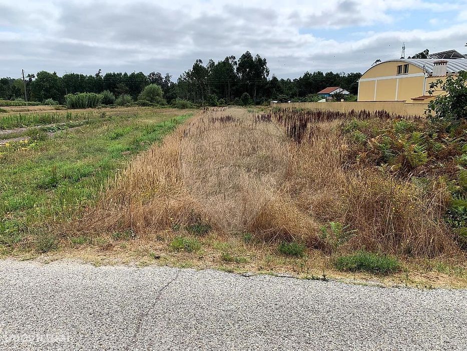 Plot of Land for Sale
