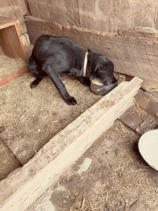 Може хтось шукає