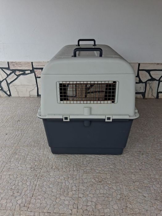 Caixa para transporte de cães