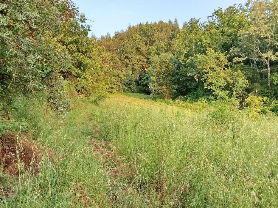 Quinta isolada mas a 2 km de Seia