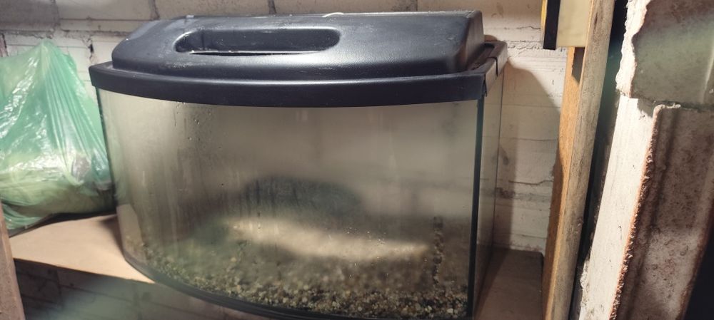 Sprzedam akwarium około 44~55L