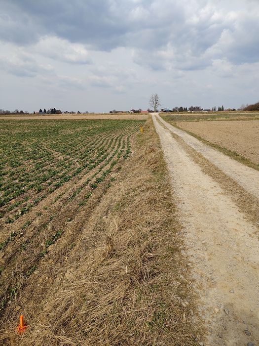 Sprzedam działkę 1500 m , MPZP, bezpośrerdnio