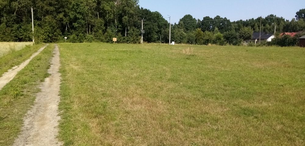 Działka budowlana 1000m - Widok 4