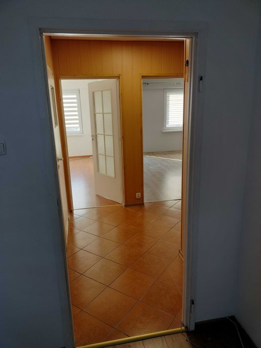 Mieszkanie do wynajęcia Ozorków