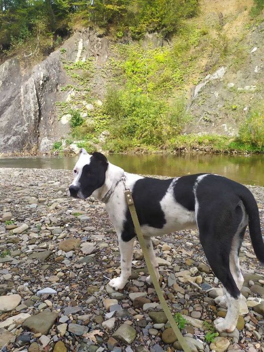 Підбуль для в'язки !!!