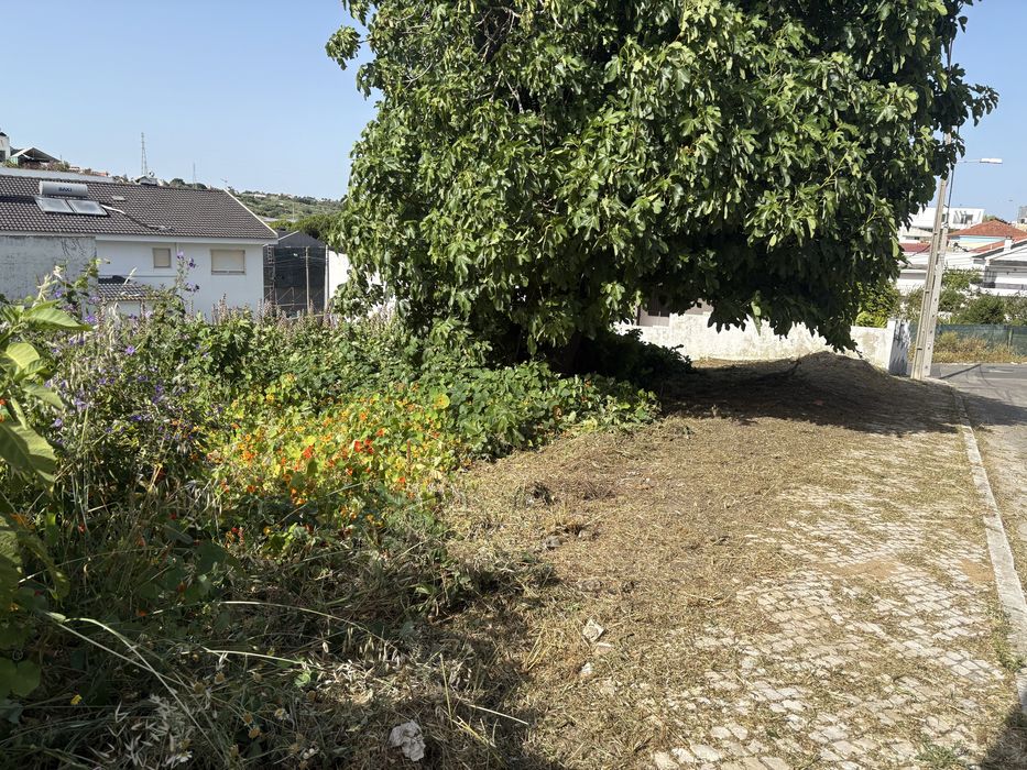 Eu faço limpeza de terrenos, quintais, garagens etc. zona da sobreda e arredores