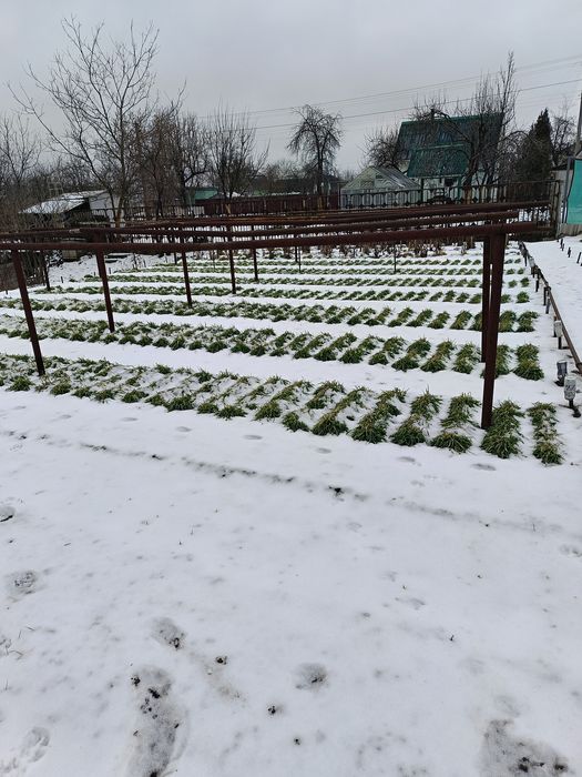 Продам дачу р.он Б.Кахновка