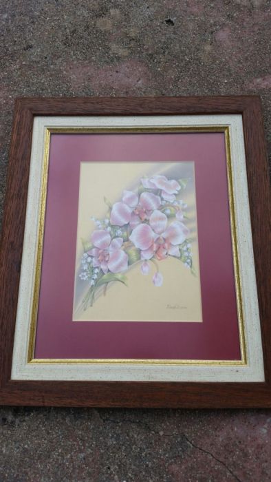 Vários quadros antigos