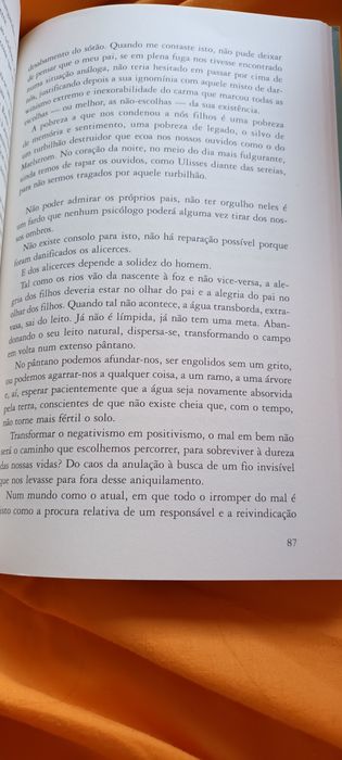 Susana Tamaro o teu olhar ilumina o mundo