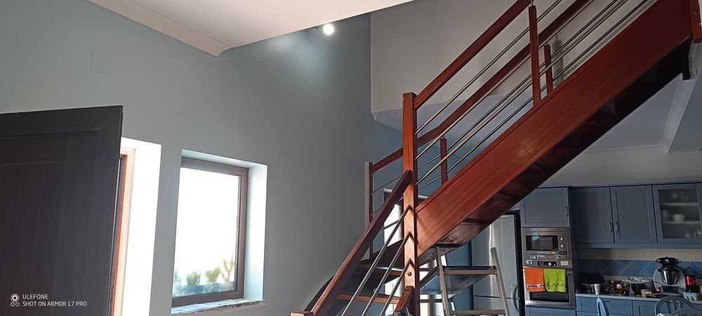 Pintor profissional