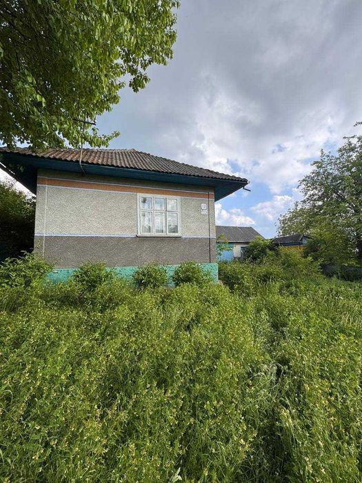 Продається старенький добротний будиночок у селі Горішні Шерівці
