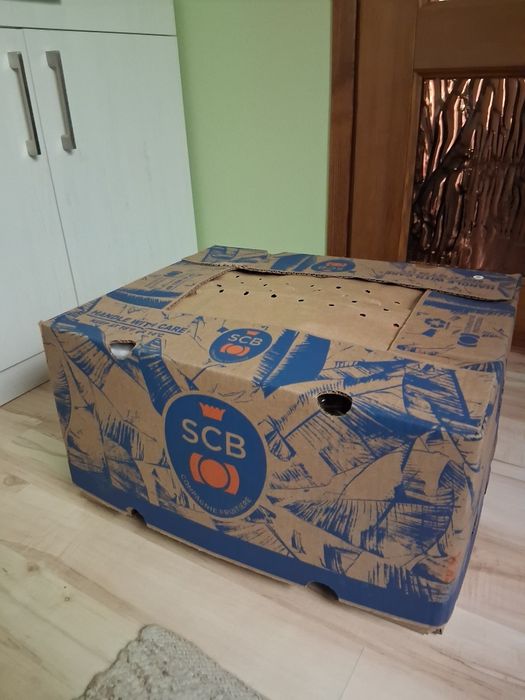 Duża paka damskich ubrań mix