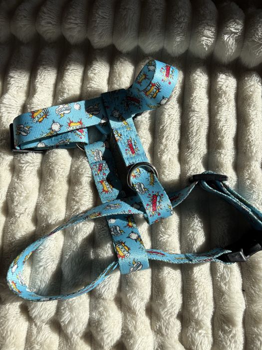 Komplet dla psa niebieski