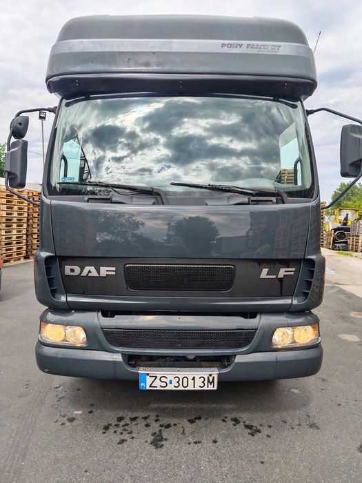 DAF