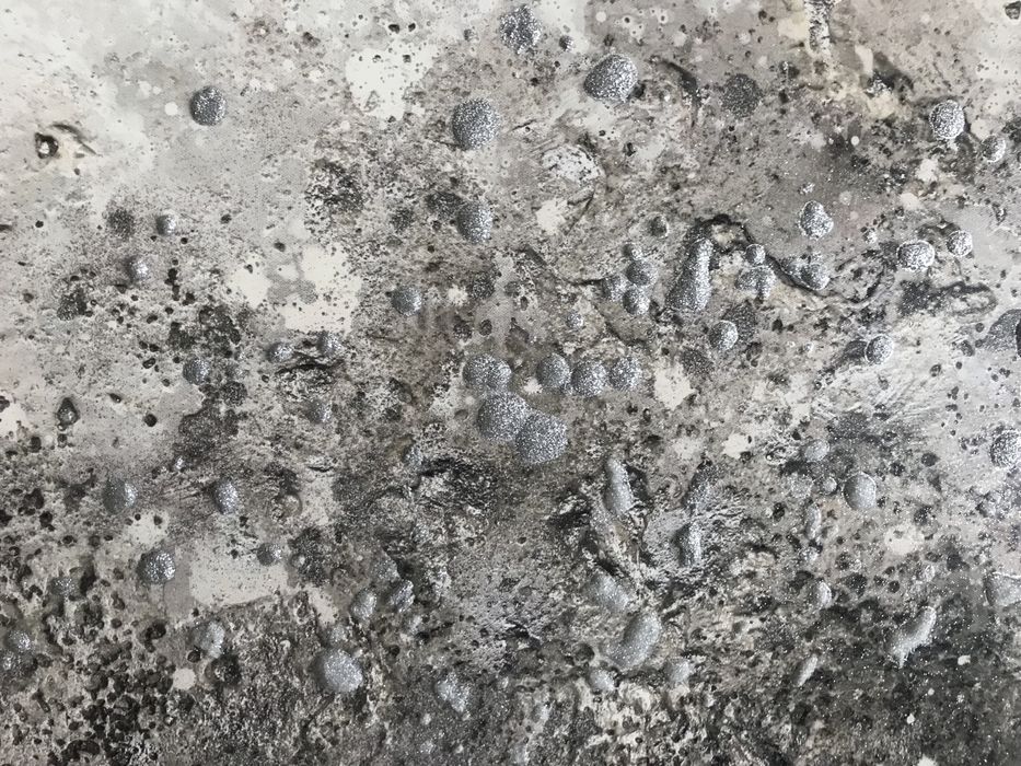 Quadro árvore da vida