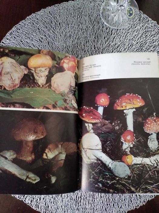Справочник миколога и грибника "Грибы"