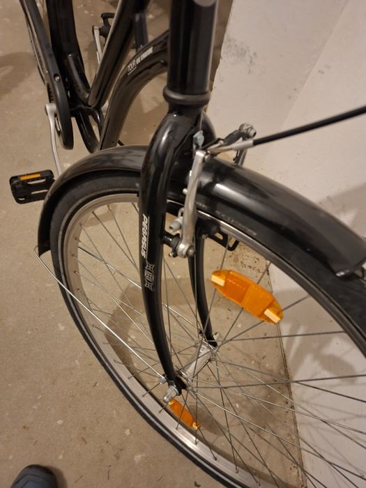 Pegasus Tour Bike Sensation