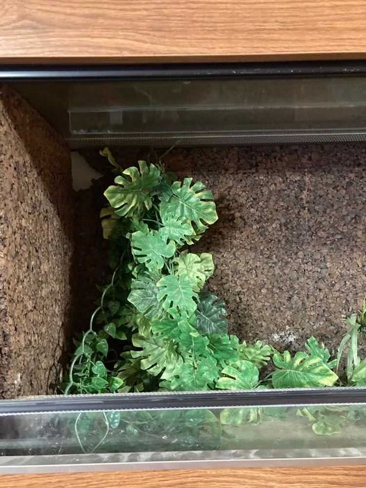 Terrarium podwójne OKAZJA