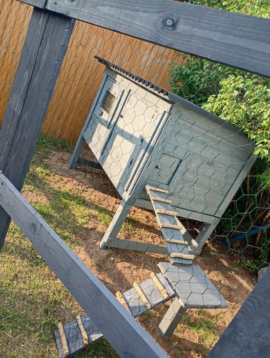 Na sprzedaż kurnik wraz z kurkami Silka