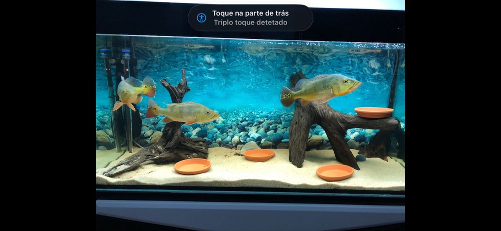 Aquario 390lt 130x50x60