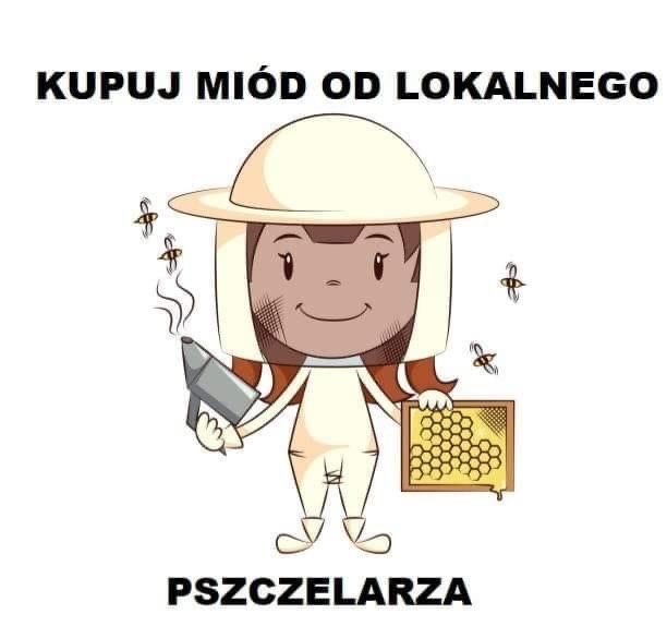 Miód rzepakowy 1300 g pasieka rodzinna