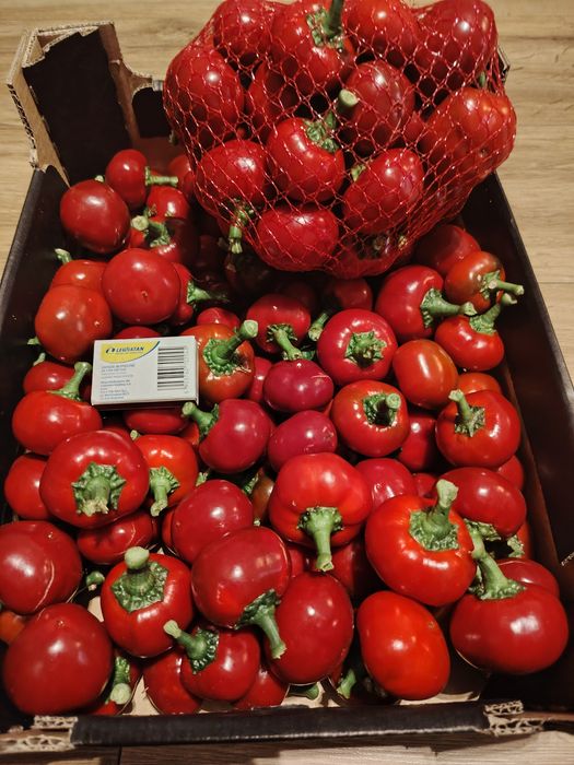 Papryka ostra czereśniowa kulka 5 kg