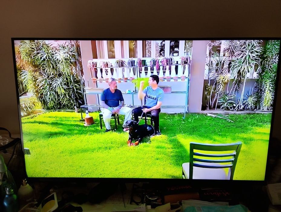 Tv Samsung 43 polegadas