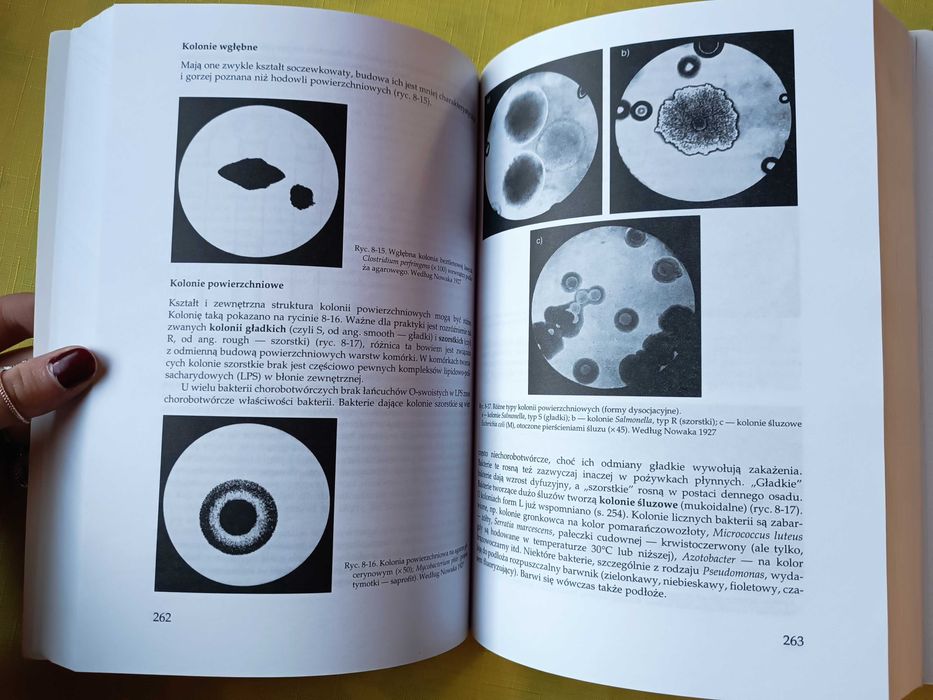 Życie bakterii - Wydawnictwo PWN
