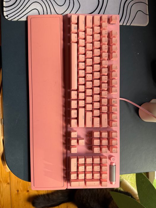 Klawiatura różowa Razer Quartz Blackwidow v3! Gamingowa, Mechaniczna