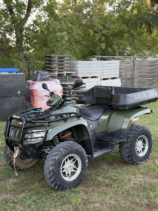 Arctic Cat