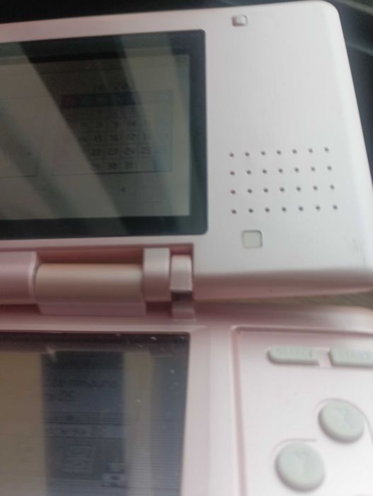 Nintendo DS rosa