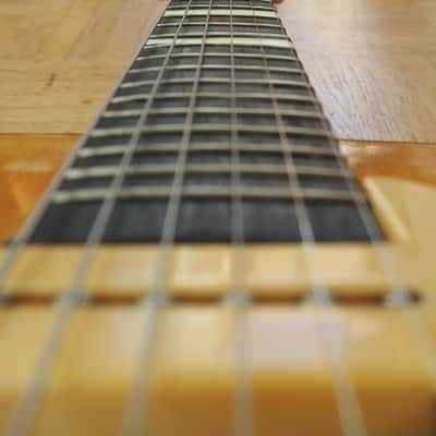 Framus 5/58 Rosita Archtop - 1955 RFA