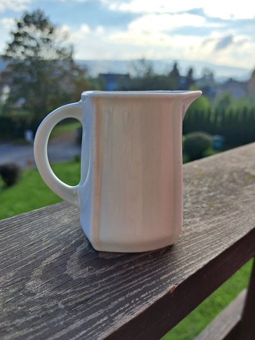 Mlecznik porcelanowy
