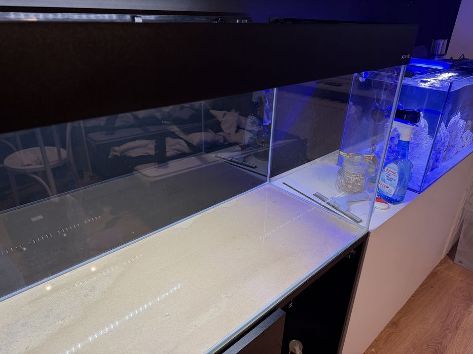 Akwarium Optiwhite 240 L