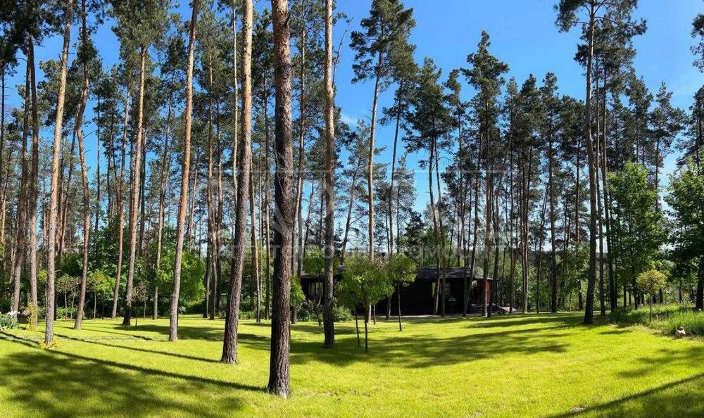 Продаж земельної ділянки, в Ходосівці. Загальна площа 50 соток)