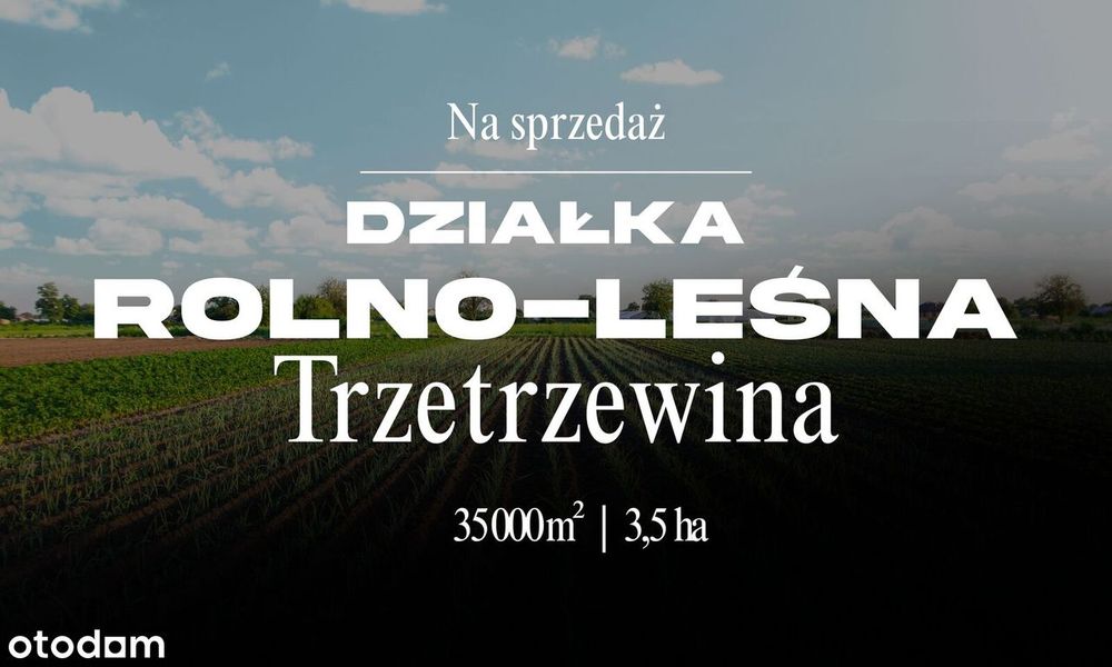 Działka rolna + rolno-leśna  3,5 ha - TRZETRZEWINA