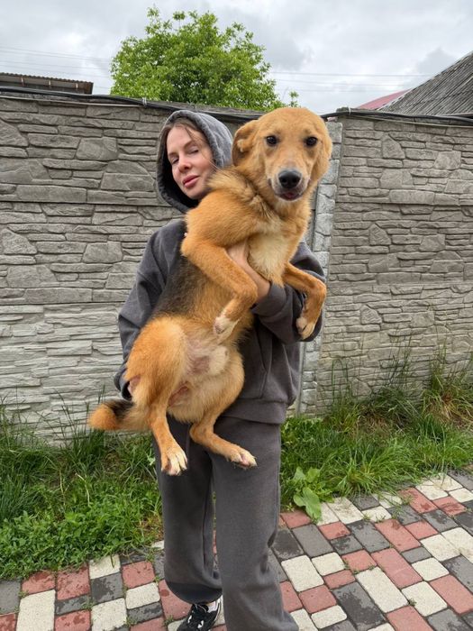 Роні , три роки шукє родину
