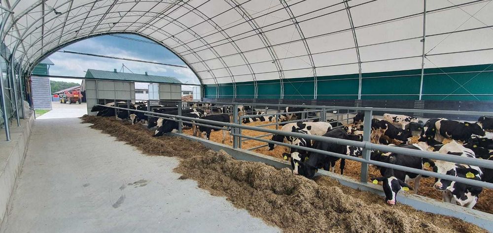 HaleNaBale.pl hale dla bydła 15m x30m