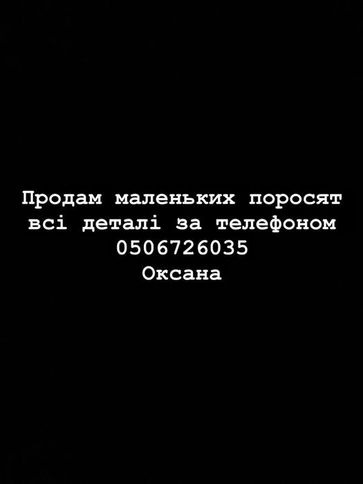 Продам маленьких поросят  віком в один місяць