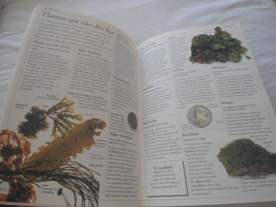 Dicionário Escolar da Natureza por David Burnie