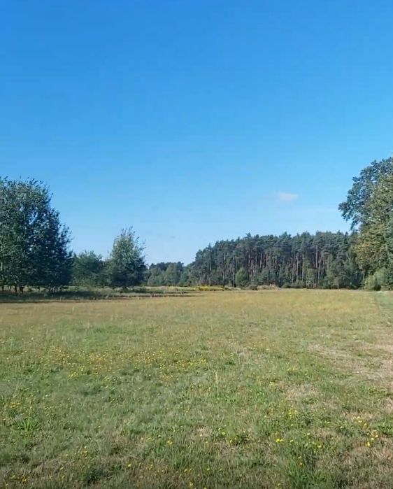 Orpelów gm Dobroń działka 6736 m2 MPZP możliwość podziału