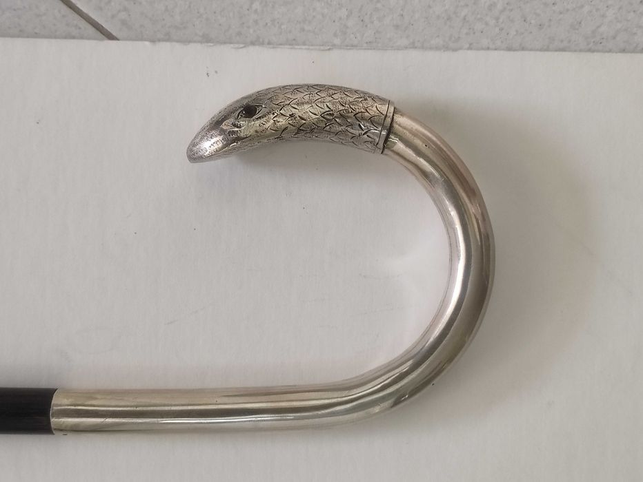 Bengala - Prata, Madeira