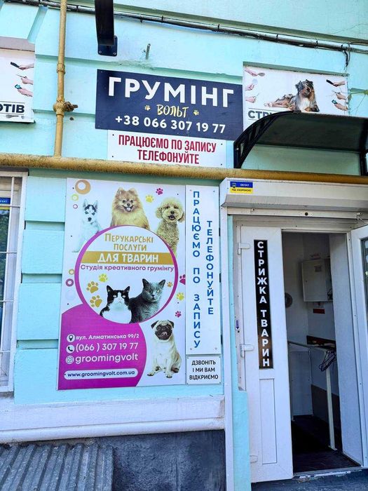 Стрижки собак і котів , НАЙНИЖЧІ ЦІНИ у "Грумінг "ВОЛЬТ" !!!