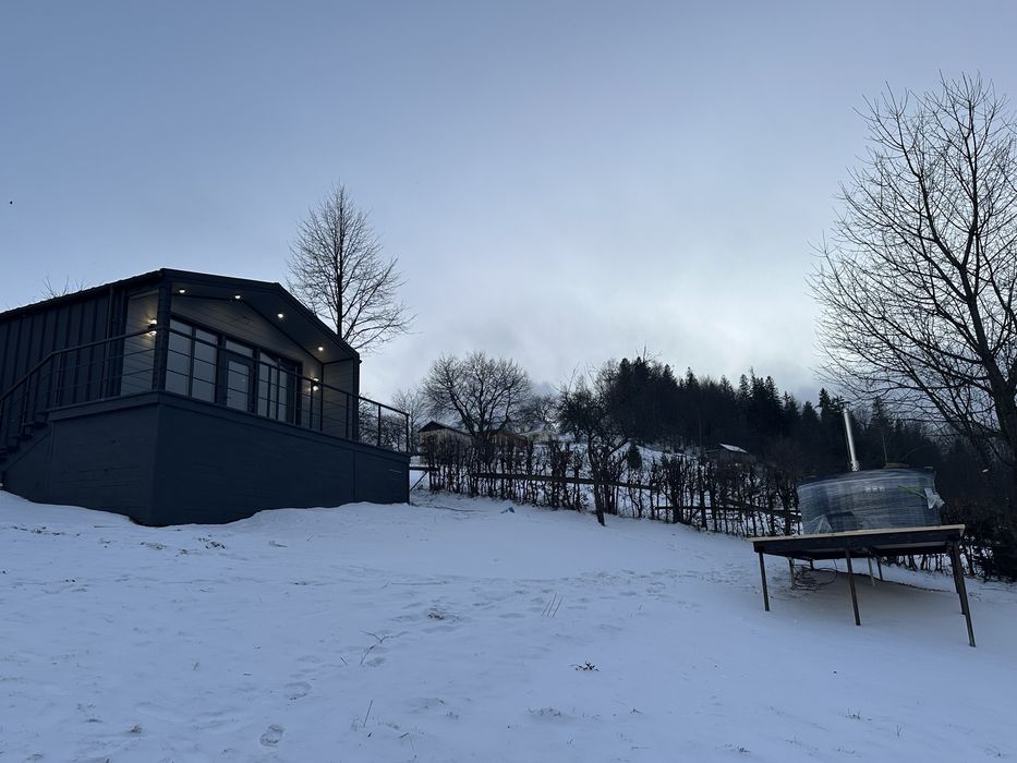 Будиночок у карпатах