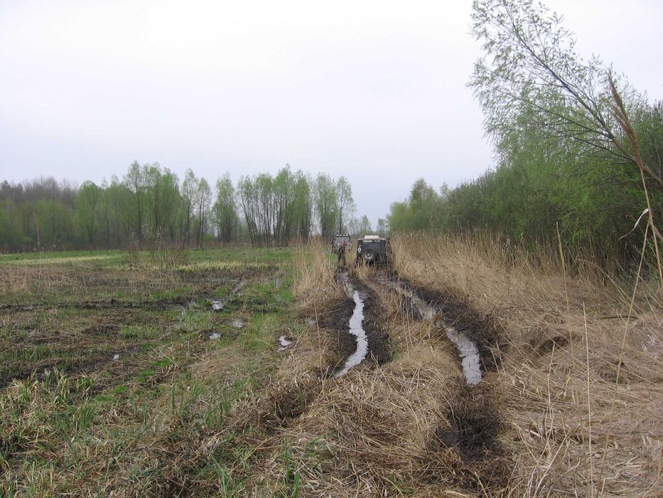 продаю 3,37 Га с/х землі (в оренді) Київська обл.