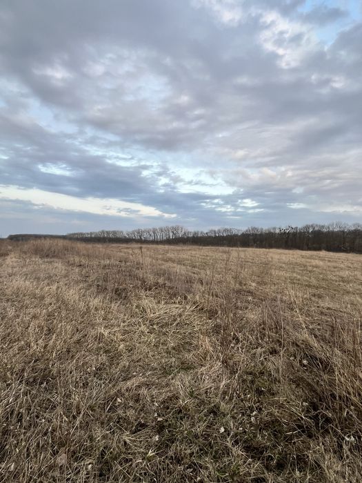 Продаж земельної ділянки у с.Коршів