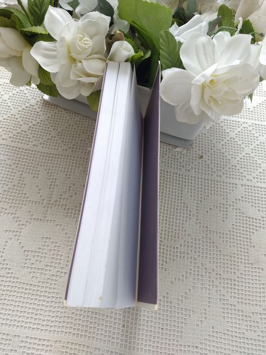 A Contas com o Passado - Denise Mina