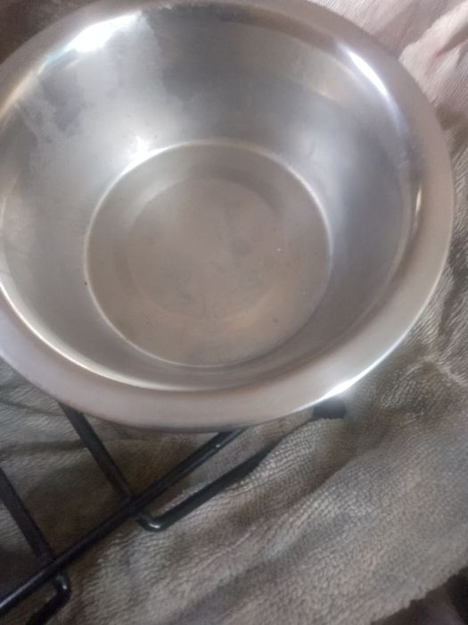 Тарілки для собак и підставка для них