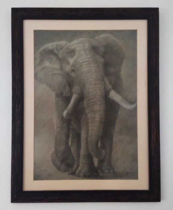 Quadro Elefante. Carvão.